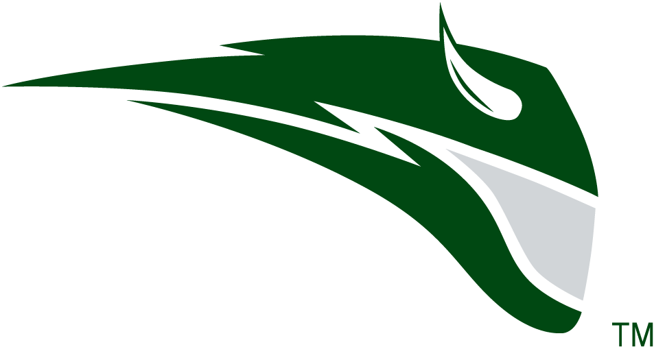 Portland State Vikings 1999-Pres Secondary Logo v2 diy iron on heat transfer